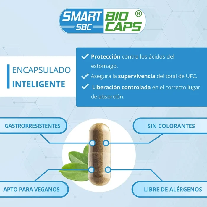provital probiotico ecologico vitalidad capsulas veganas
