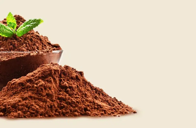 Ver catálogo de cacao en polvo desgrasado y ecológico para cocina de Nortembio
