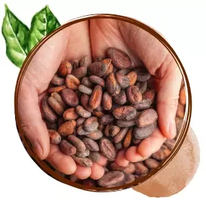 cacao-polvo-natural-desgrasado