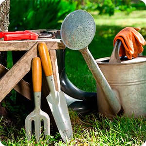 acido-citrico-nortembio-hogar-limpieza-herramientas-jardineria-jardin